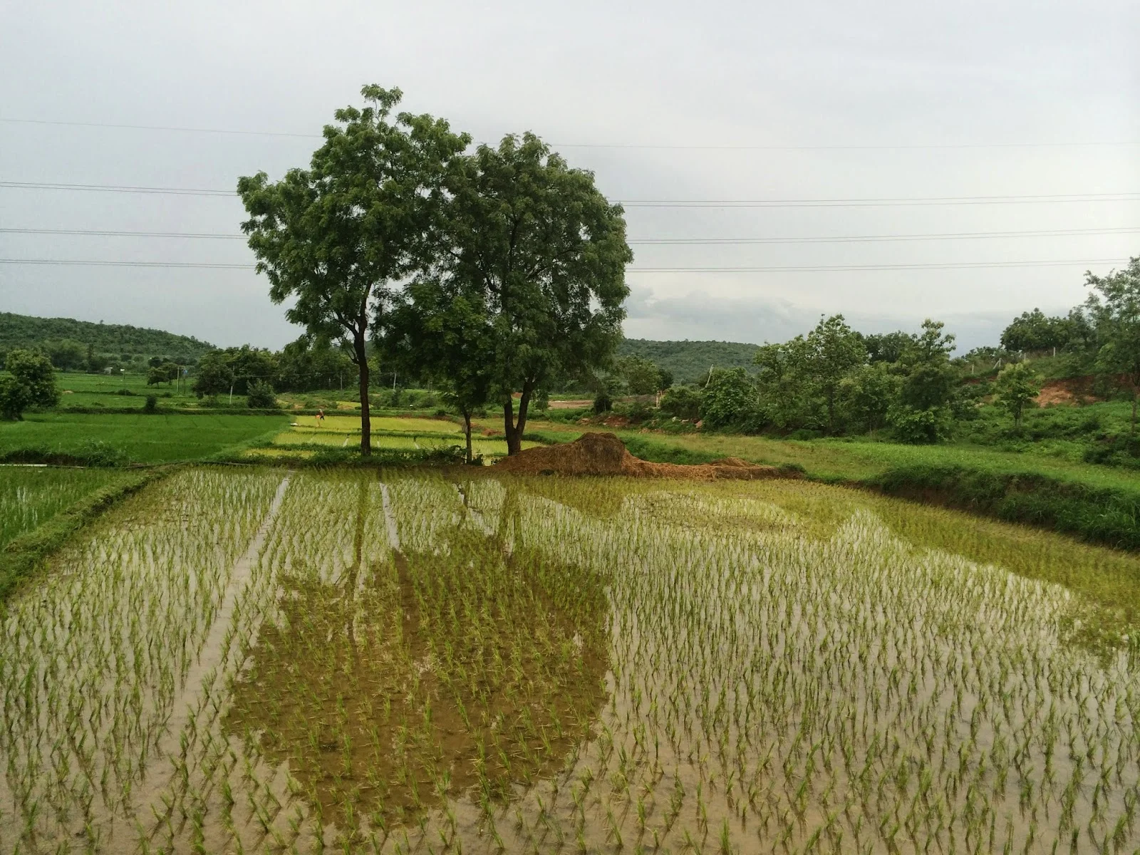 Health Screening in Varni, India (2014)