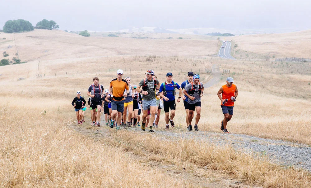 Marin 50k-6482.jpg