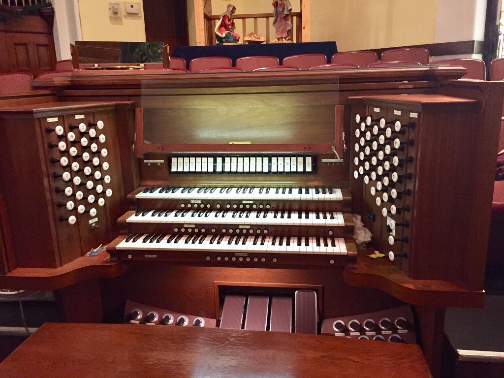 Organ 2.jpg