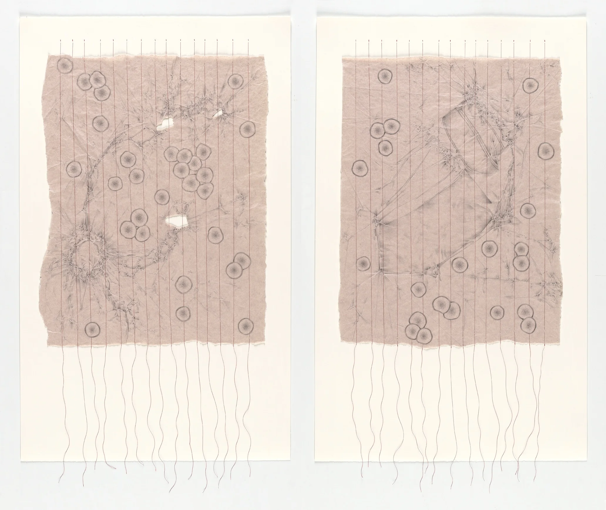 Lurong - velvet horn diptych 2014