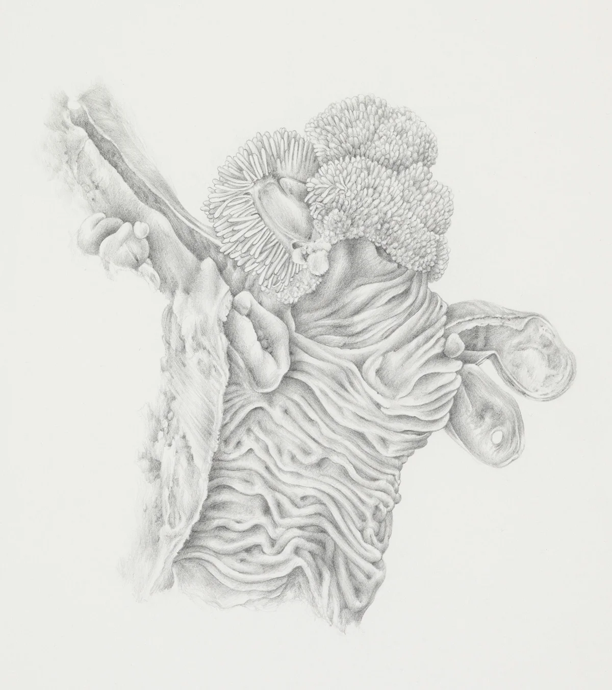 A complex beauty II, 2016