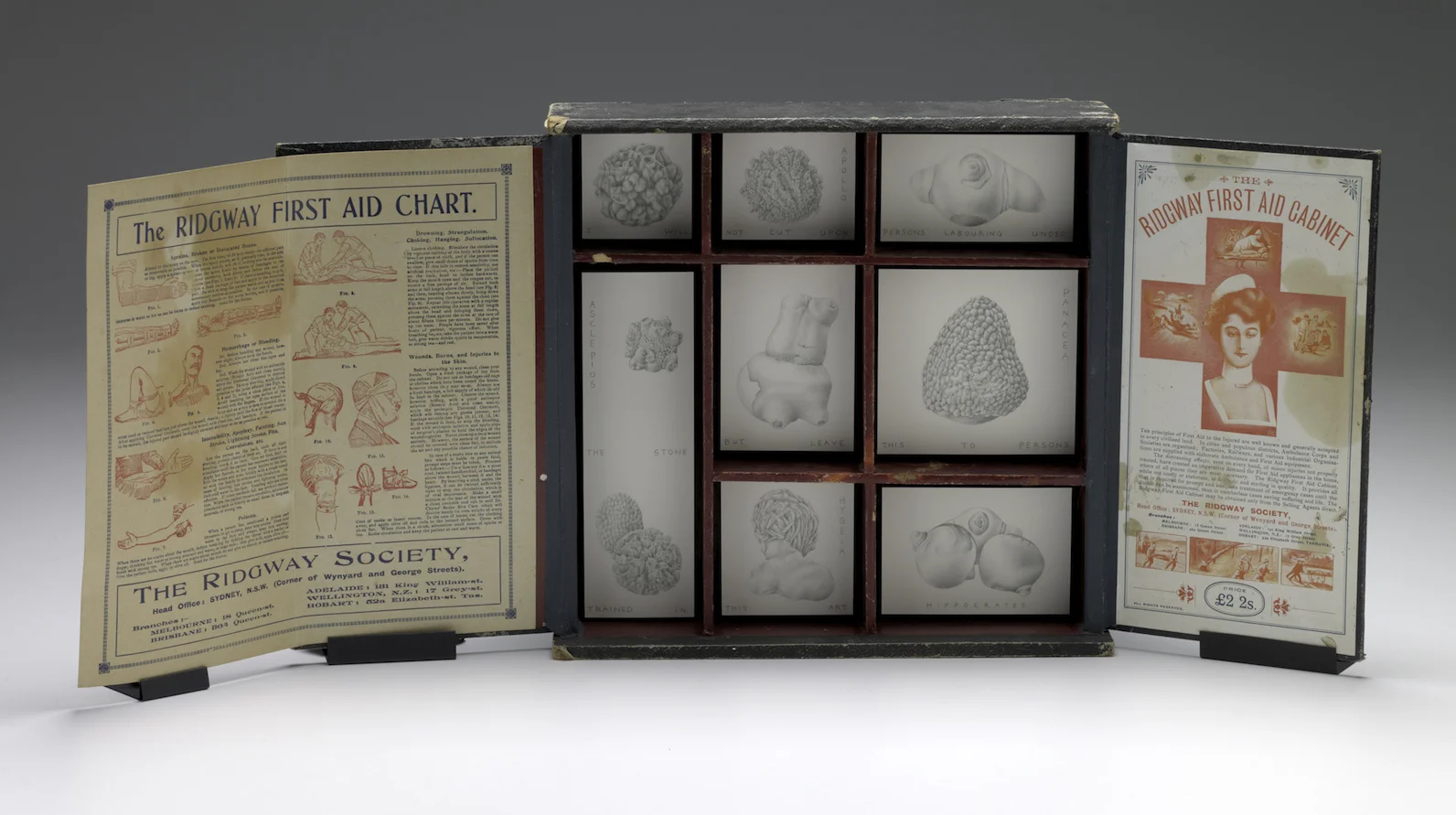 Hippocrates cabinet 2014