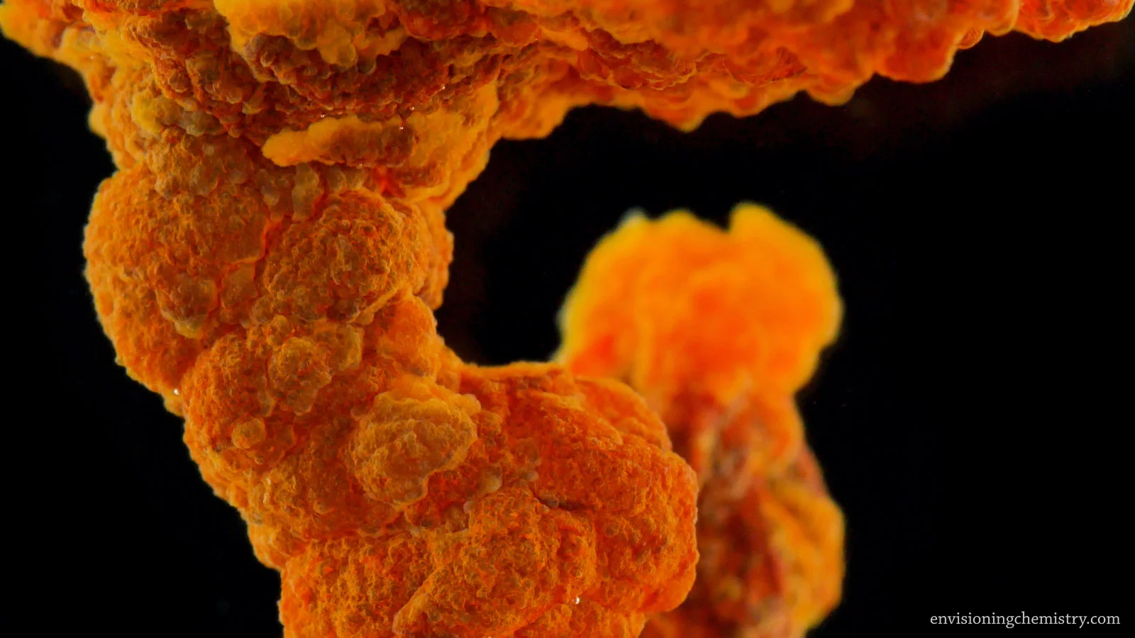 Osmotic Growth_12_1.jpg