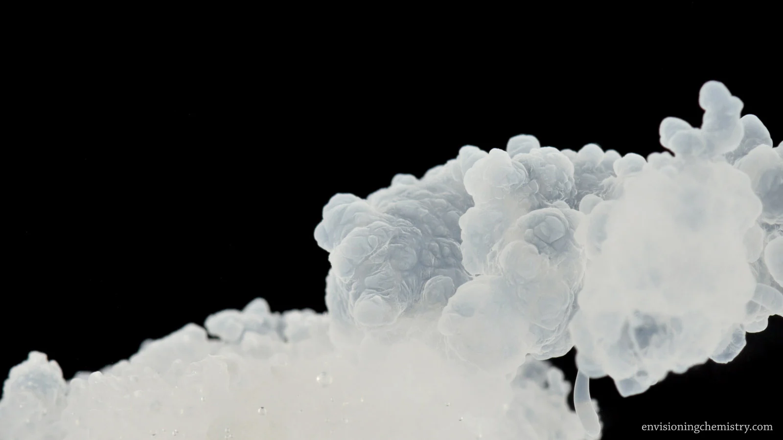 Osmotic Growth_11_1.jpg