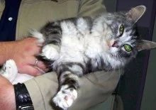 22 23 0807visits braithwaite web.jpg