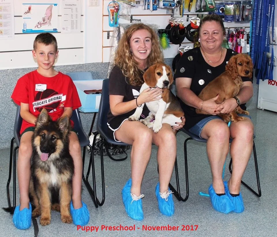 Nov17_Puppy_Preschool.jpg