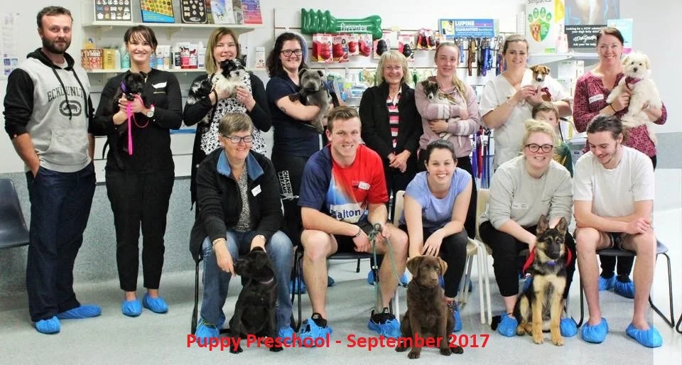 Sep17-2_Puppy_Preschool.jpg