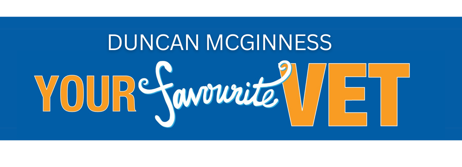 Your Favourite Vet Duncan McGinness Dubbo