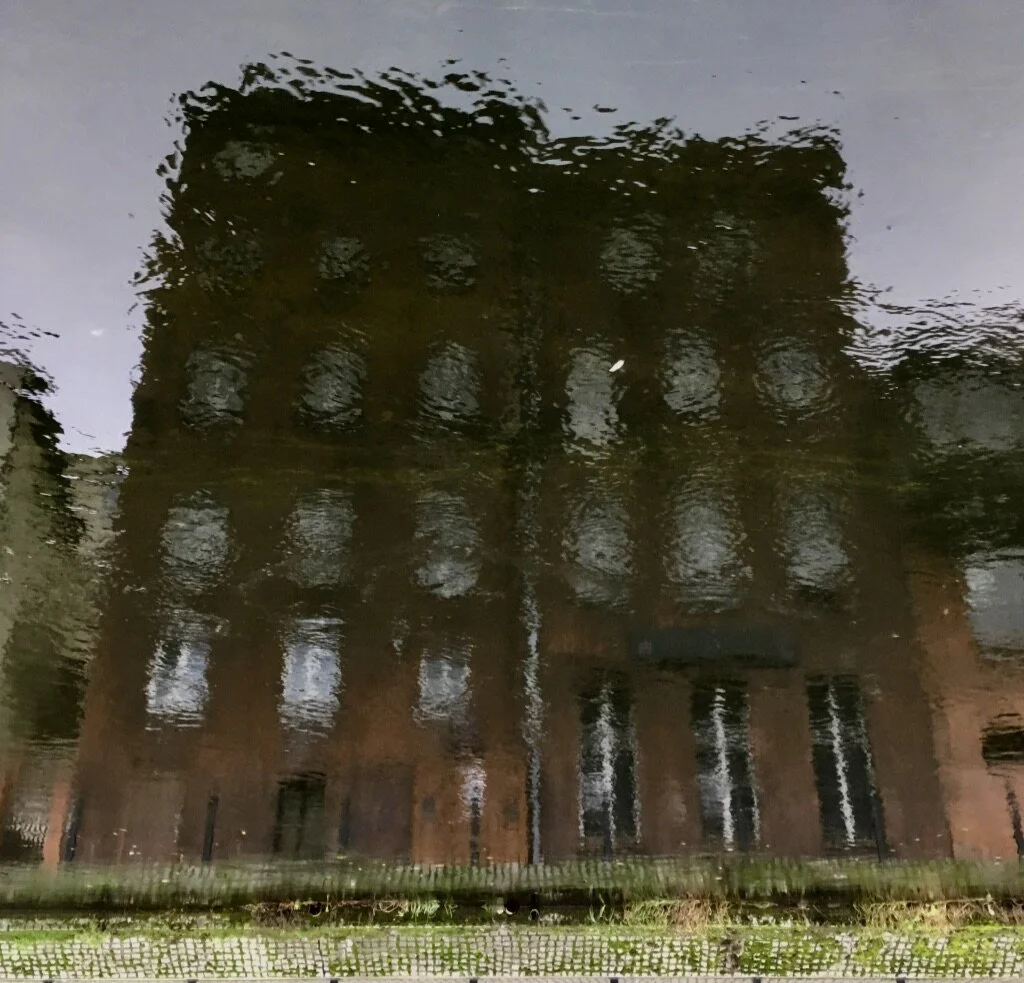 MNQZoISTQe+WN+YJS1VKmg_thumb_4f80d.jpg