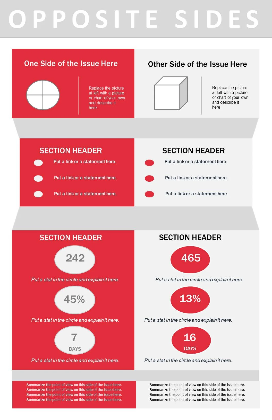 Infographic Project- Opposite Sides of an Issue