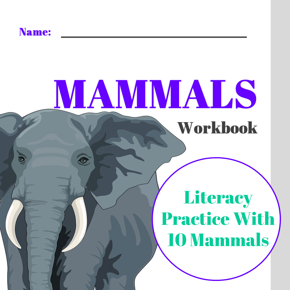 Mammals: Printable Worksheets — Forward-Thinking Curriculum
