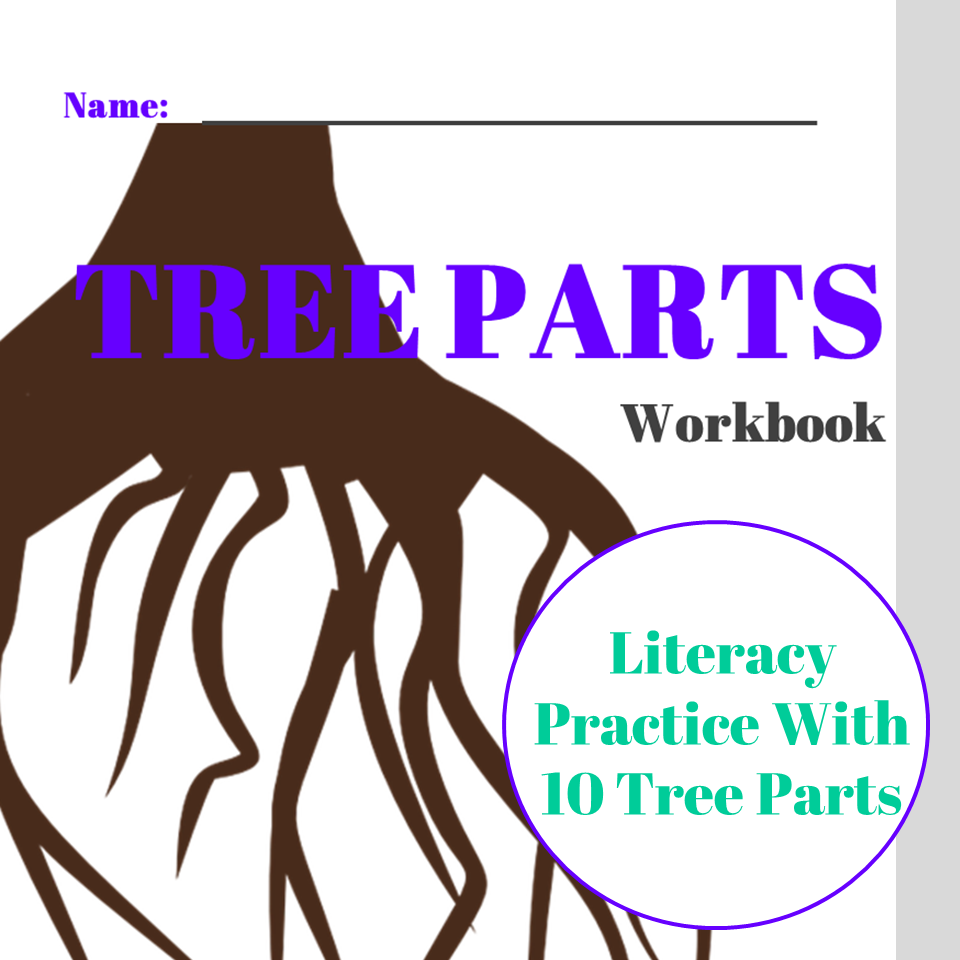 Parts Of Tree Worksheet With Answers