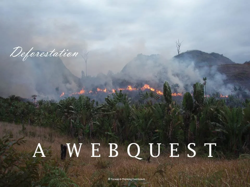 Deforestation Webquest with Worksheet