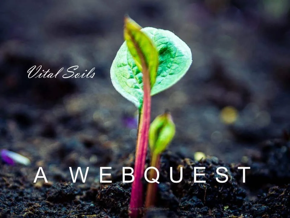 Vital Soils Webquest with Worksheet