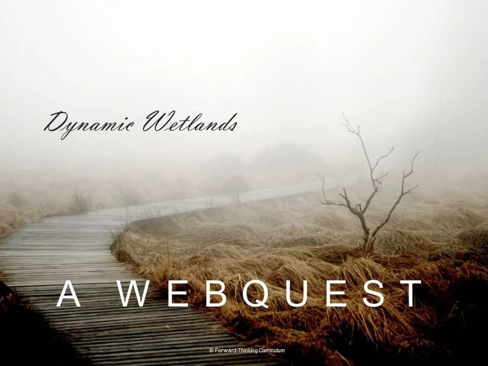 Dynamic Wetlands Webquest with Worksheet