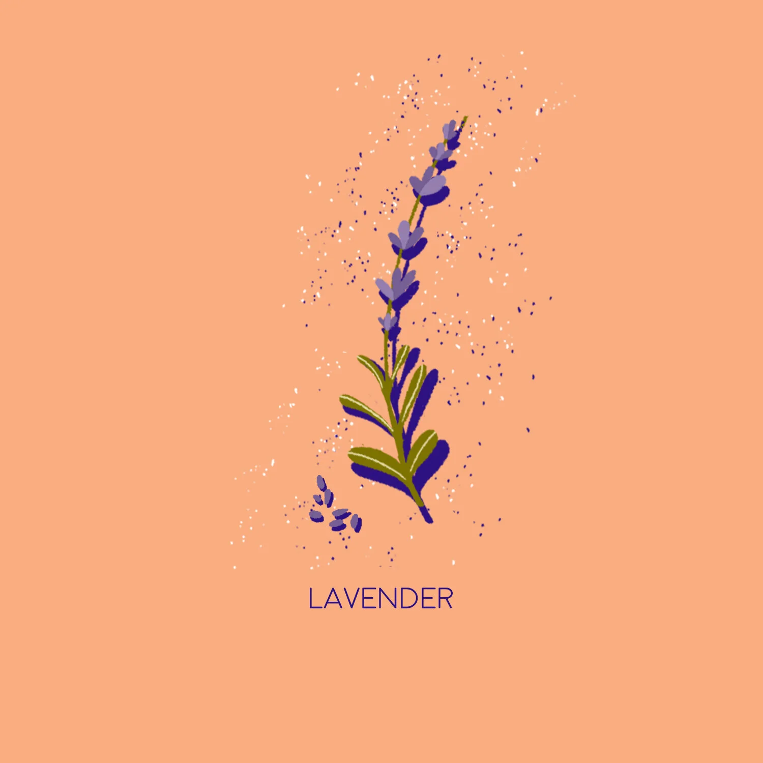 lavendertea_02.jpeg