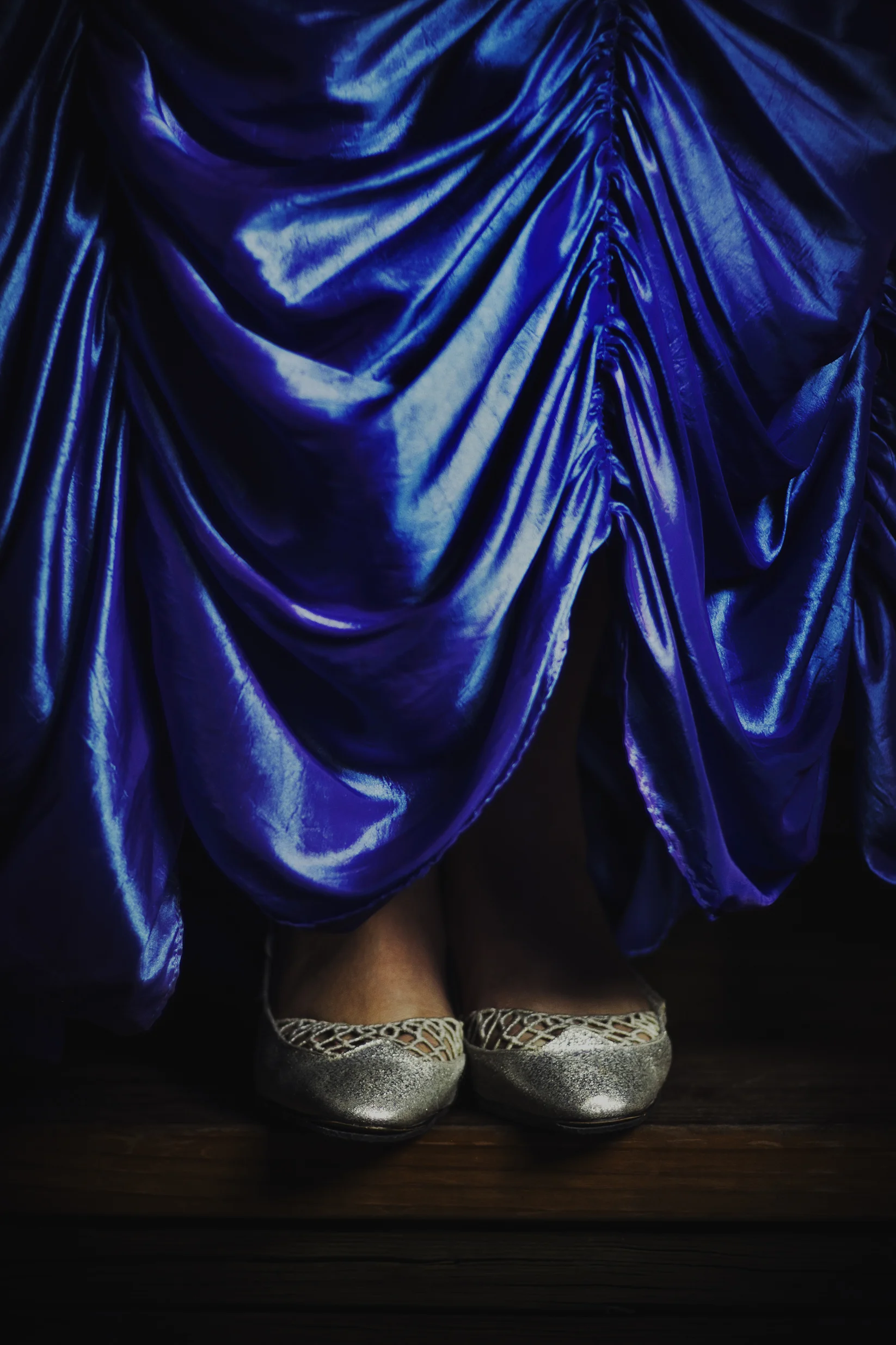 Blue Cinderella with overlay.jpg