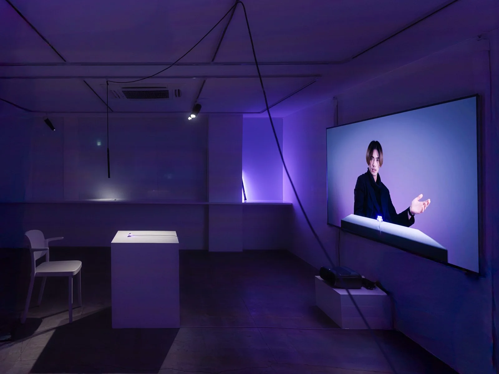 The Host (Work in Progress), 2026