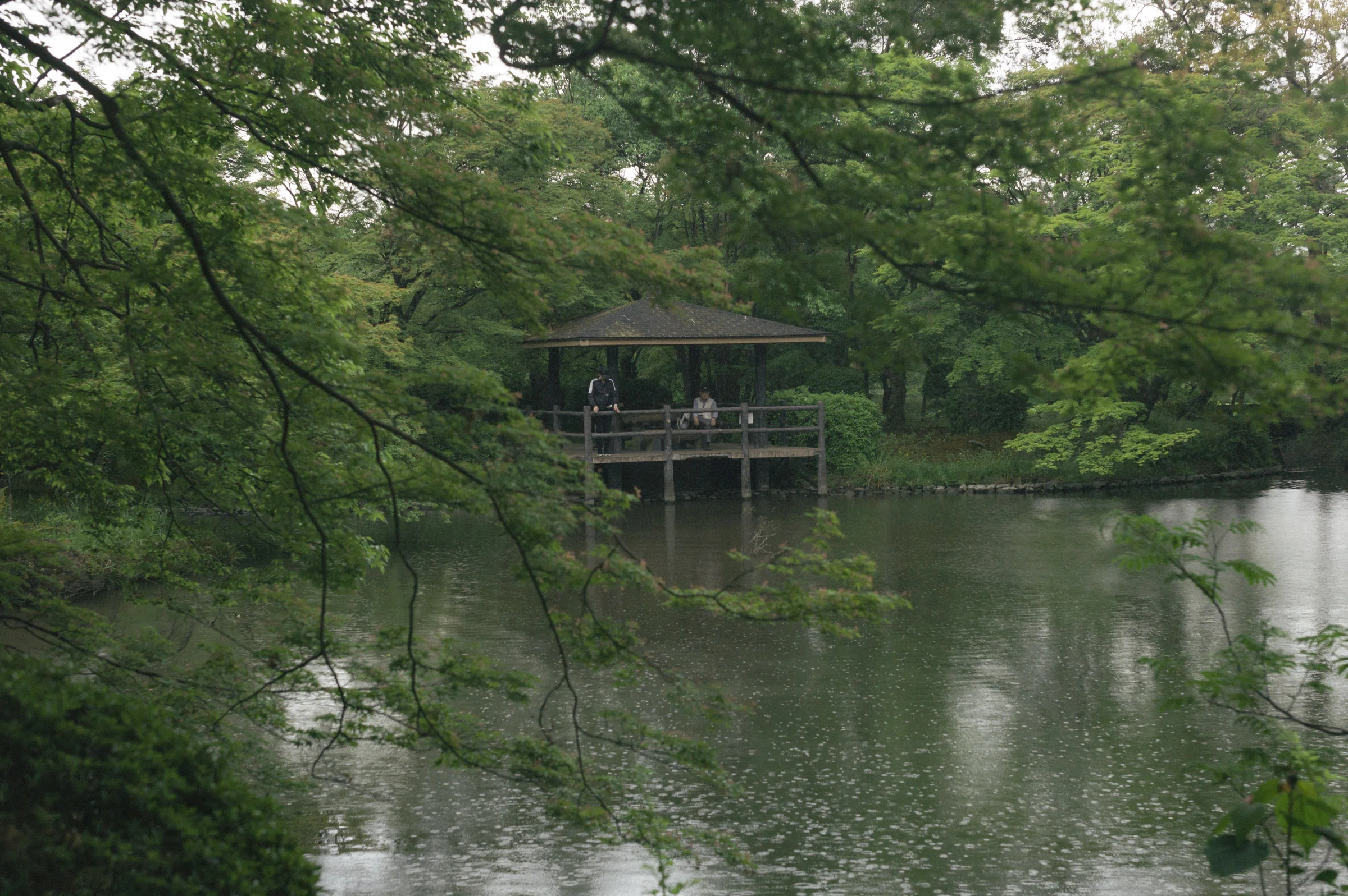 L1012413.jpg