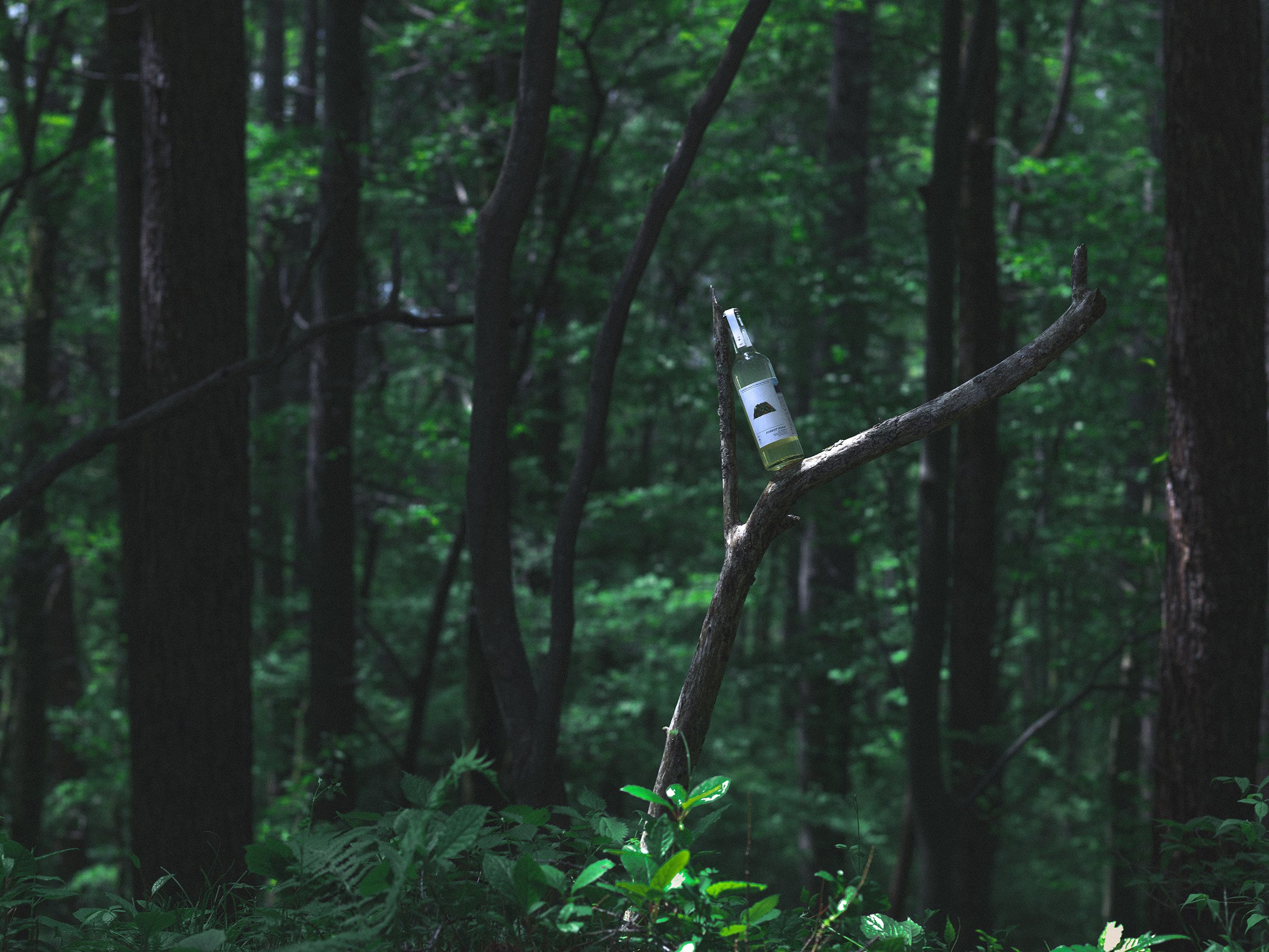 FOREST SODA