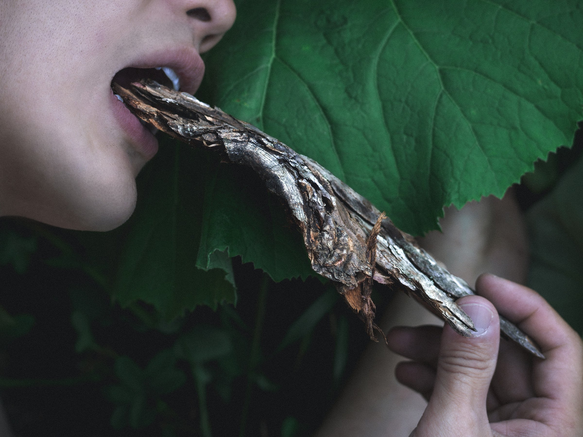 Man Eating Tree