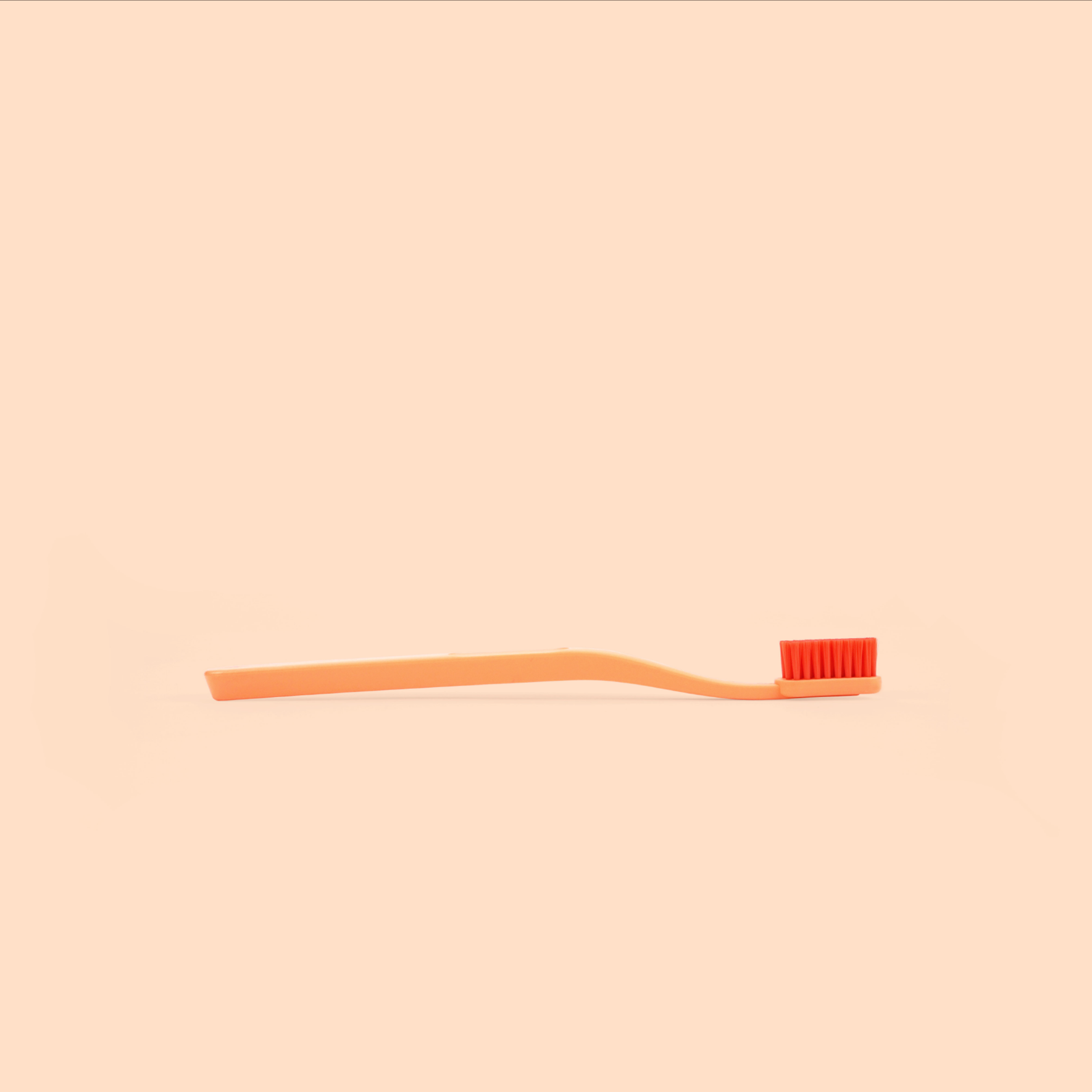 unun_hay_tann_coral_1.png