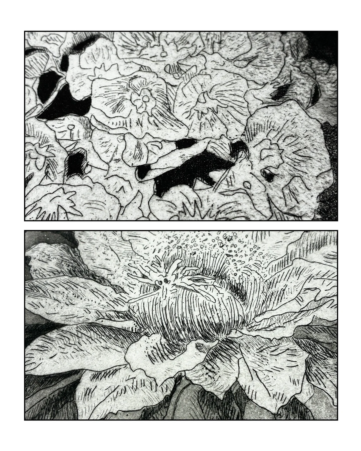 ｜2025 Summer Recap 2｜

My favorite copper etching day! 🖤
Huge welcome to 杜媽媽 from Miaoli 
We were super productive&mdash;so much that we finally earned ourselves a cozy coffee break before her HSR ride home 

杜媽媽來完成了兩種花朵的蝕刻銅版作品 
因為來上課很多次了，感覺對銅版畫越來越熟