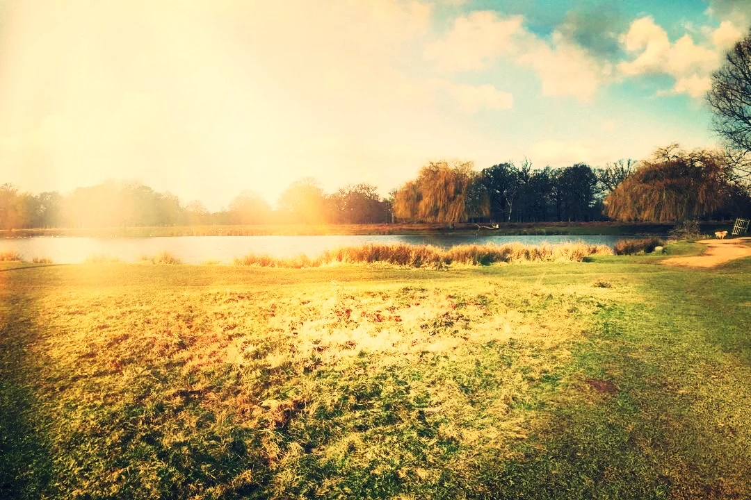 landscape for website.JPG