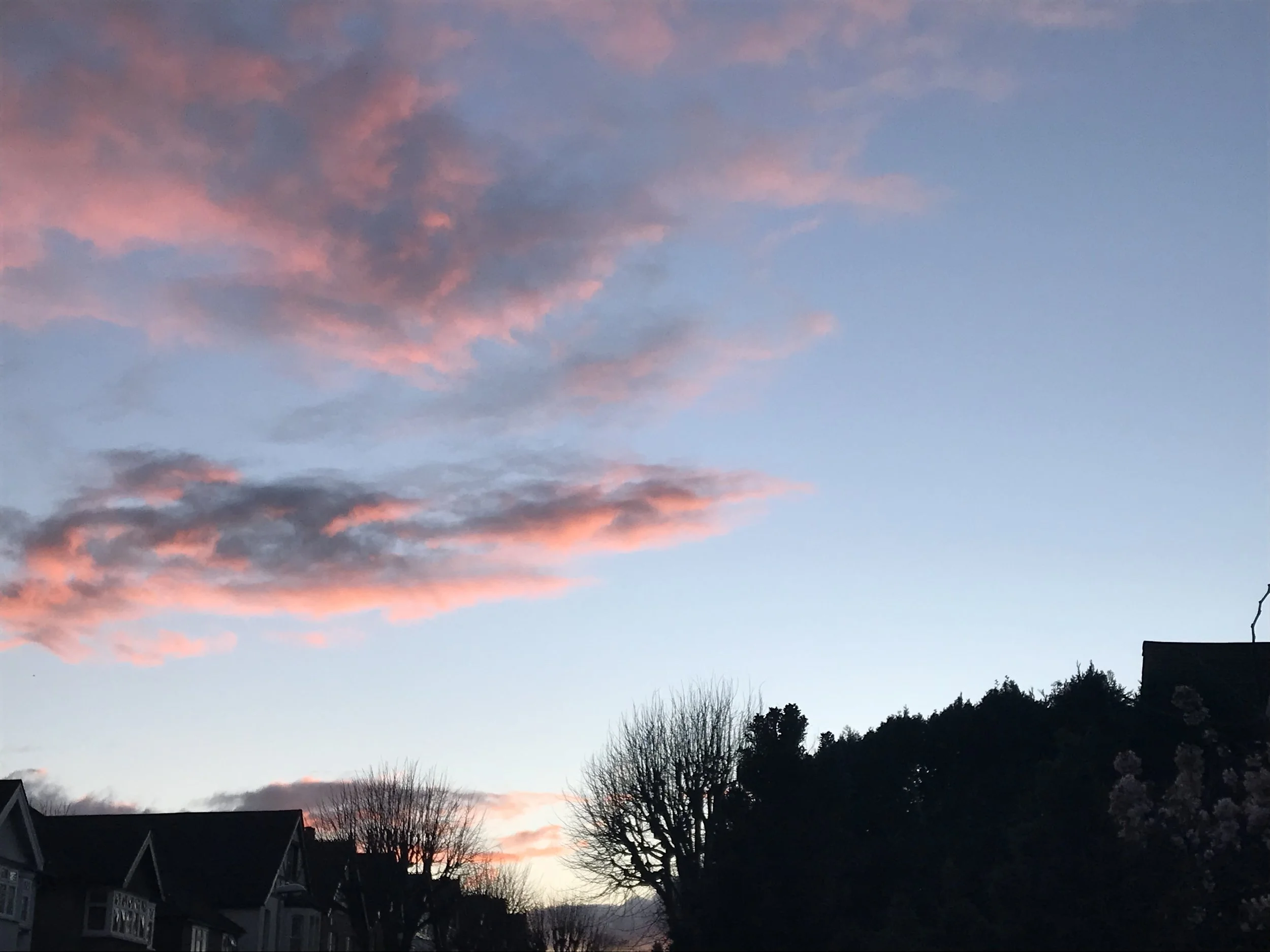 WEBSITE IMAGE 15.jpeg