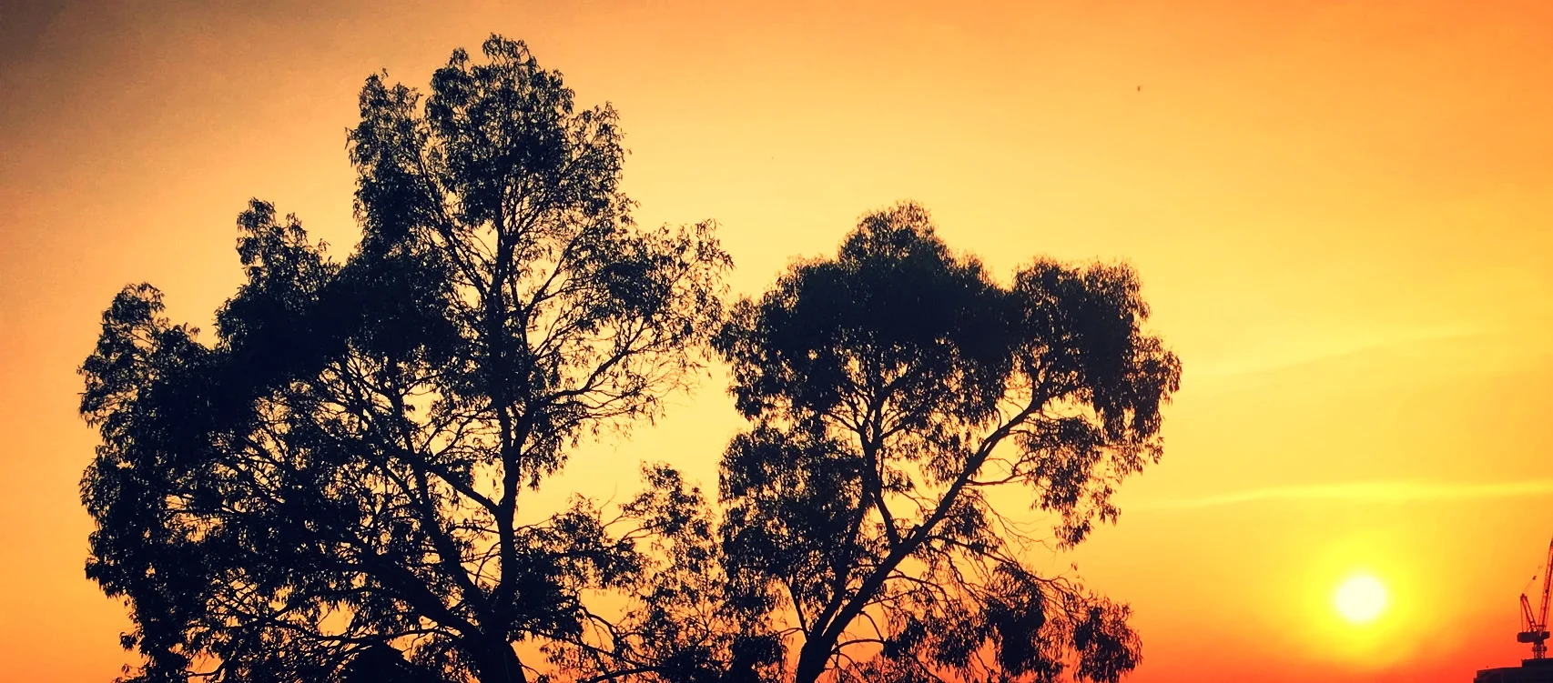 website image 25.JPG