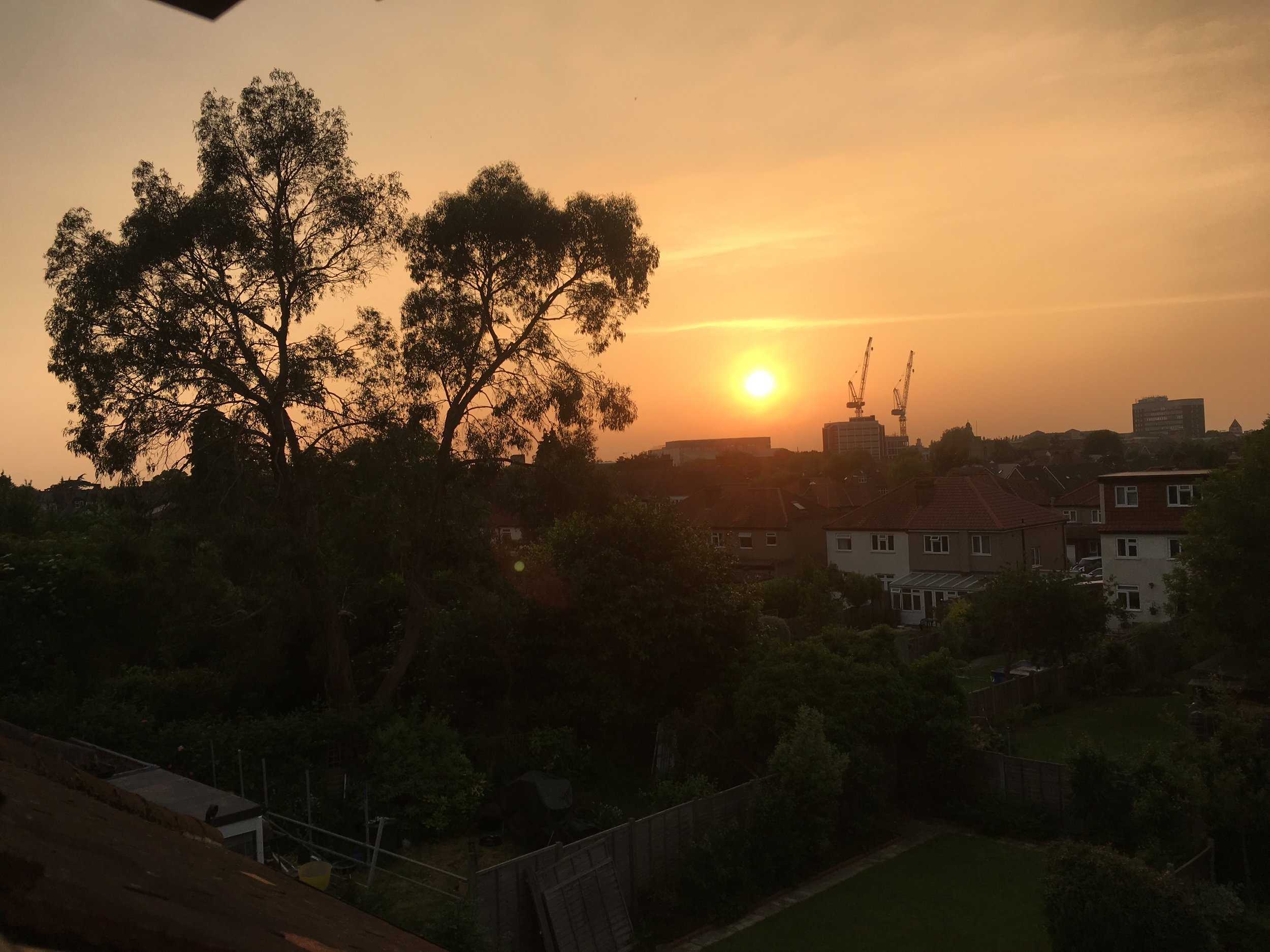 website image 25.JPG