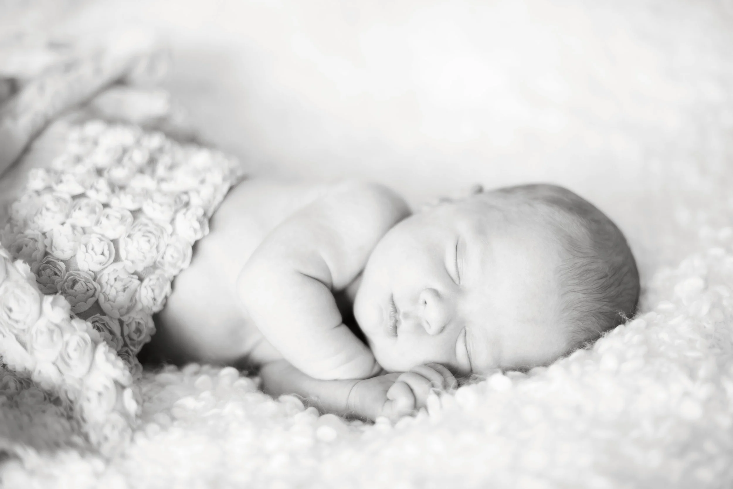 DSC_5664_bw.jpg