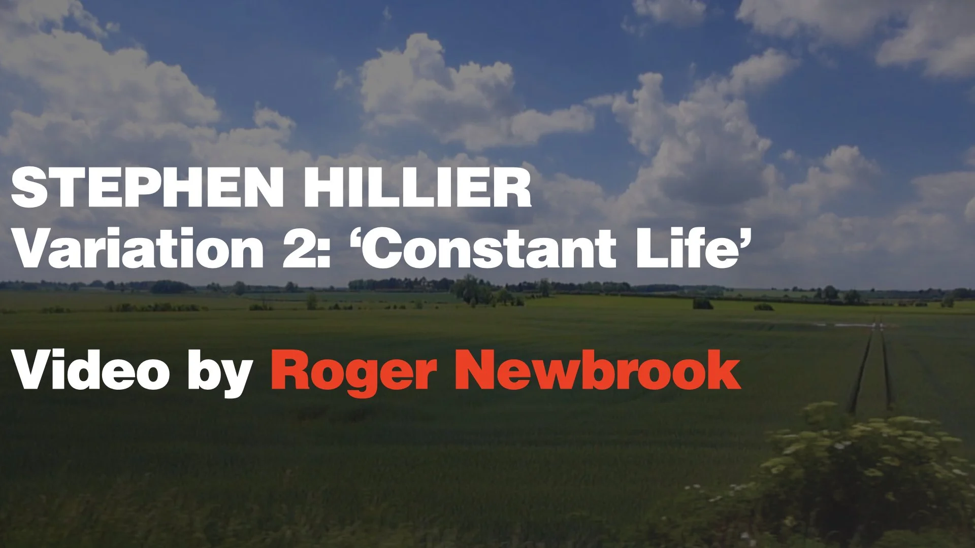 Stephen Hillier: Constant Life