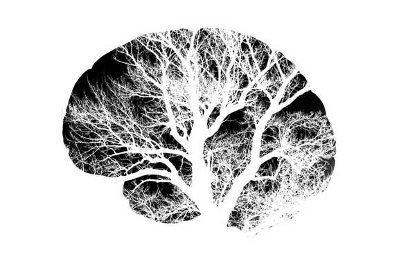 banner (4).png