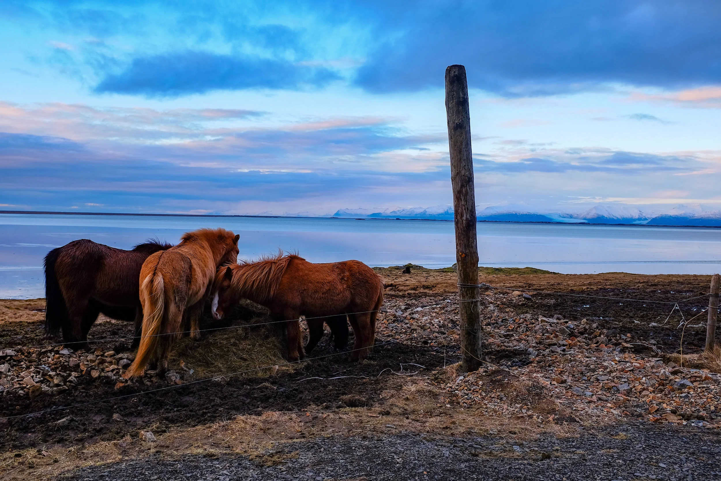 happy travelling & enjoy Iceland!