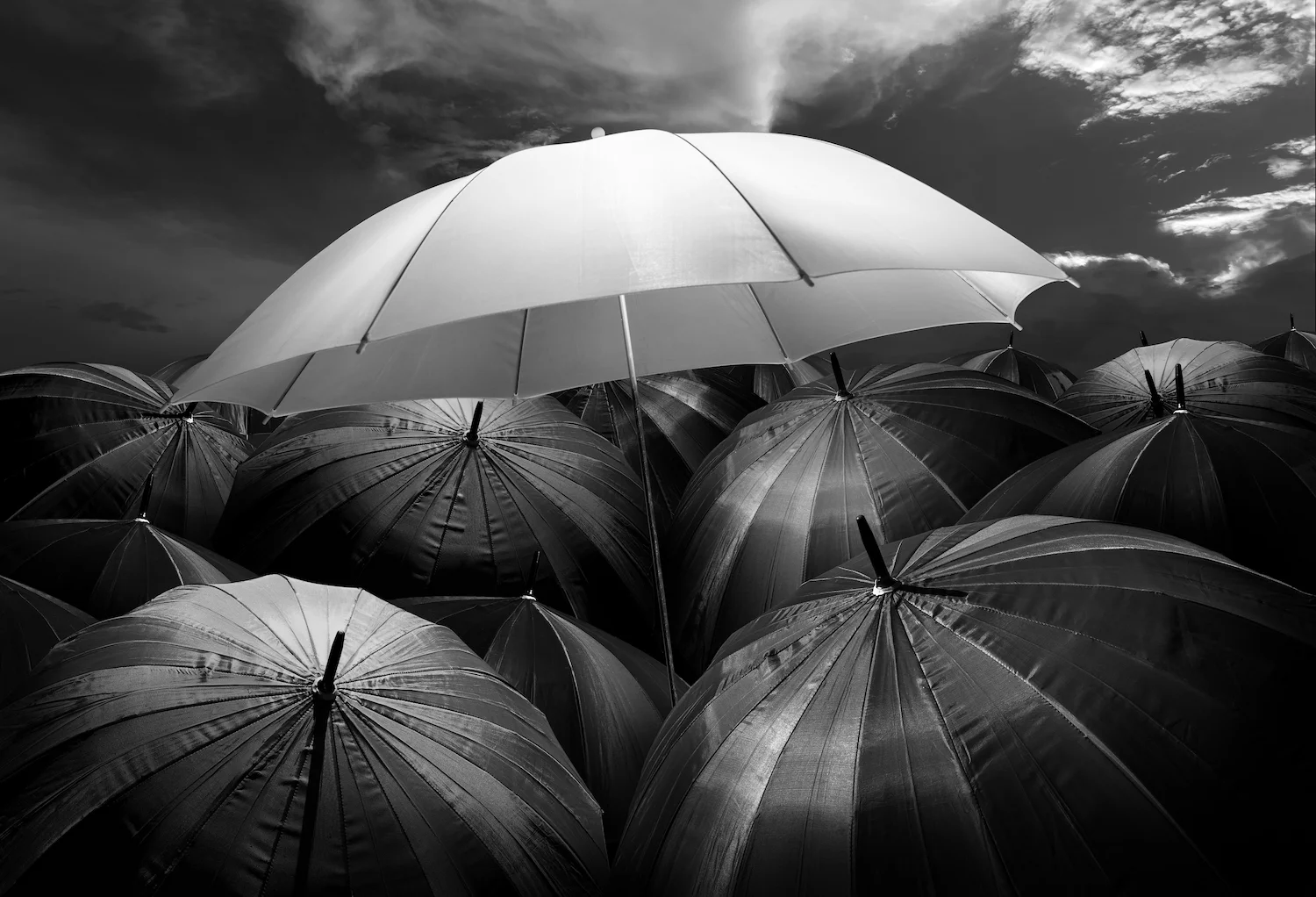Umbrella 1500px.jpg