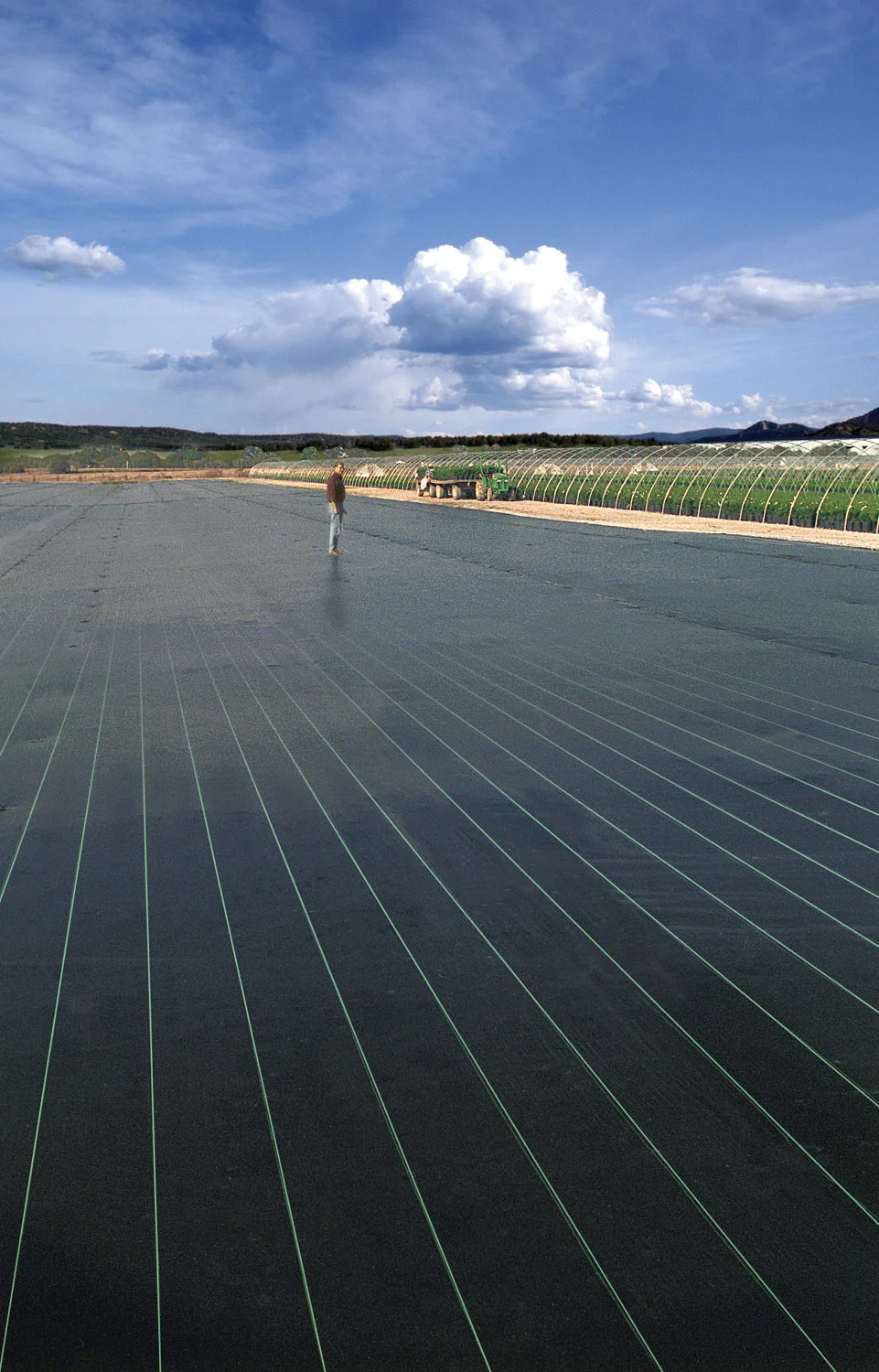 B.01 Field Weed Control.jpg