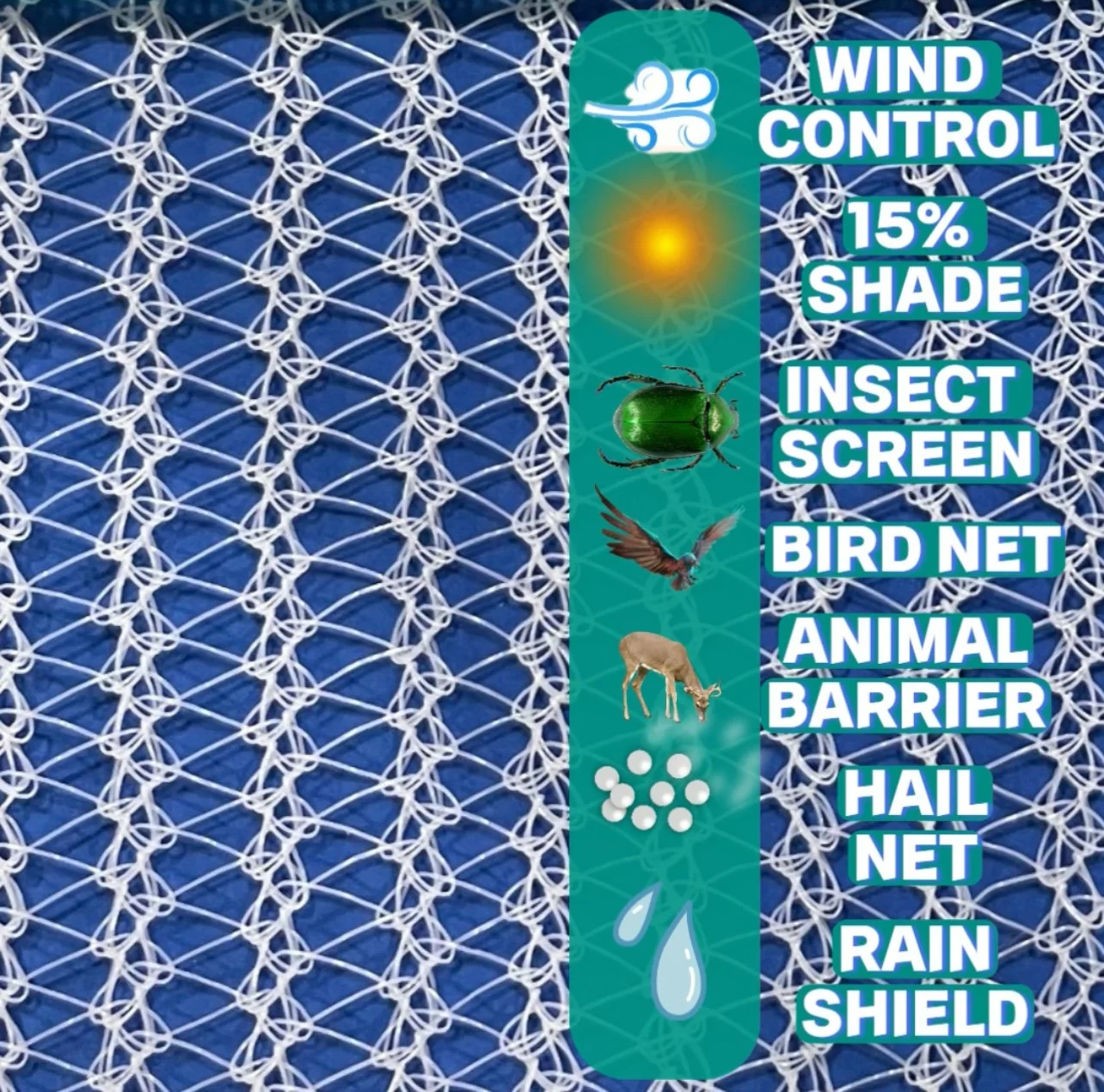 15 UNIVERSAL NETTING