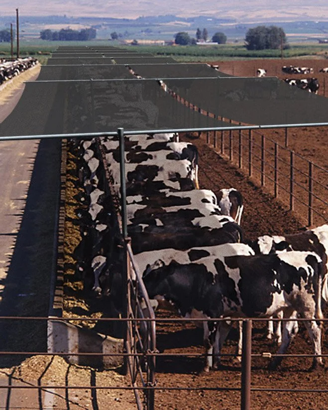 Comprehensive Livestock Shade Cloths - Enhance Comfort &amp; Productivity