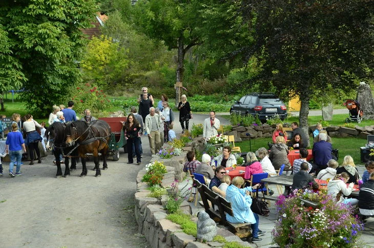 Vidaråsen.jpg