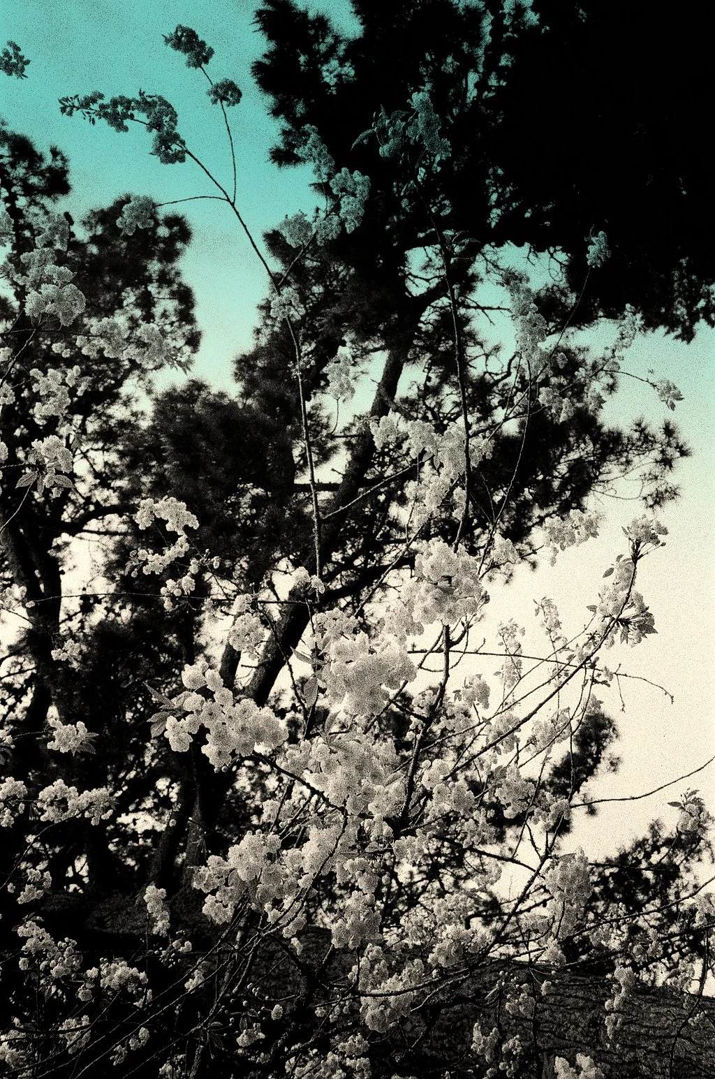 Cornawall- April 2022.jpg