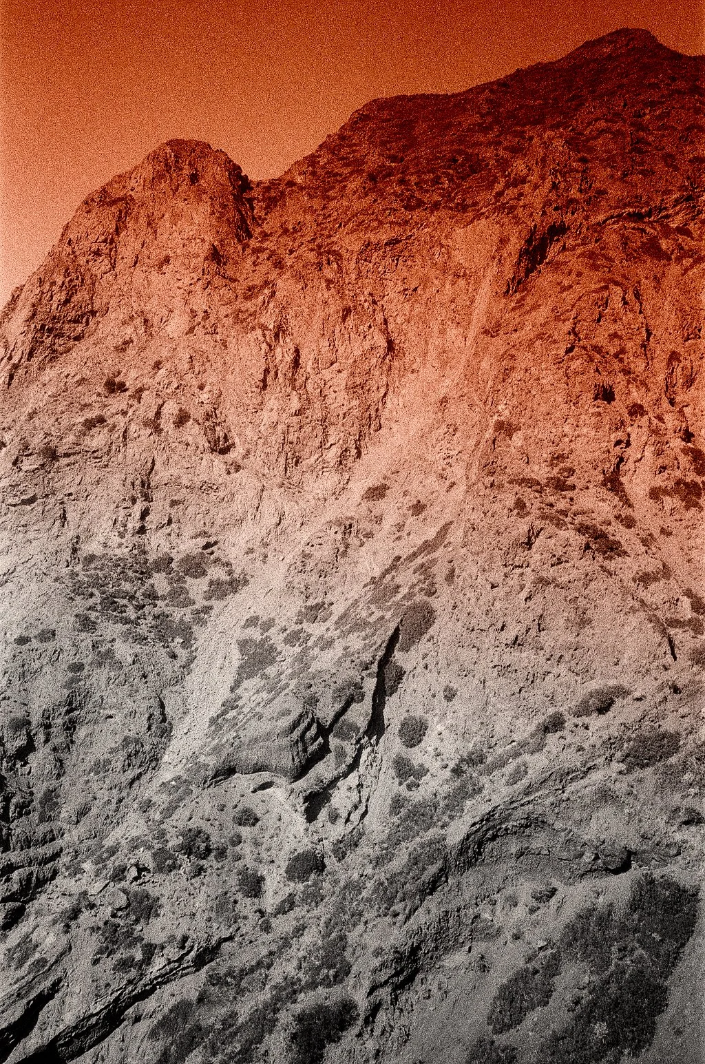 Salina-Rinella April 2022 .jpg