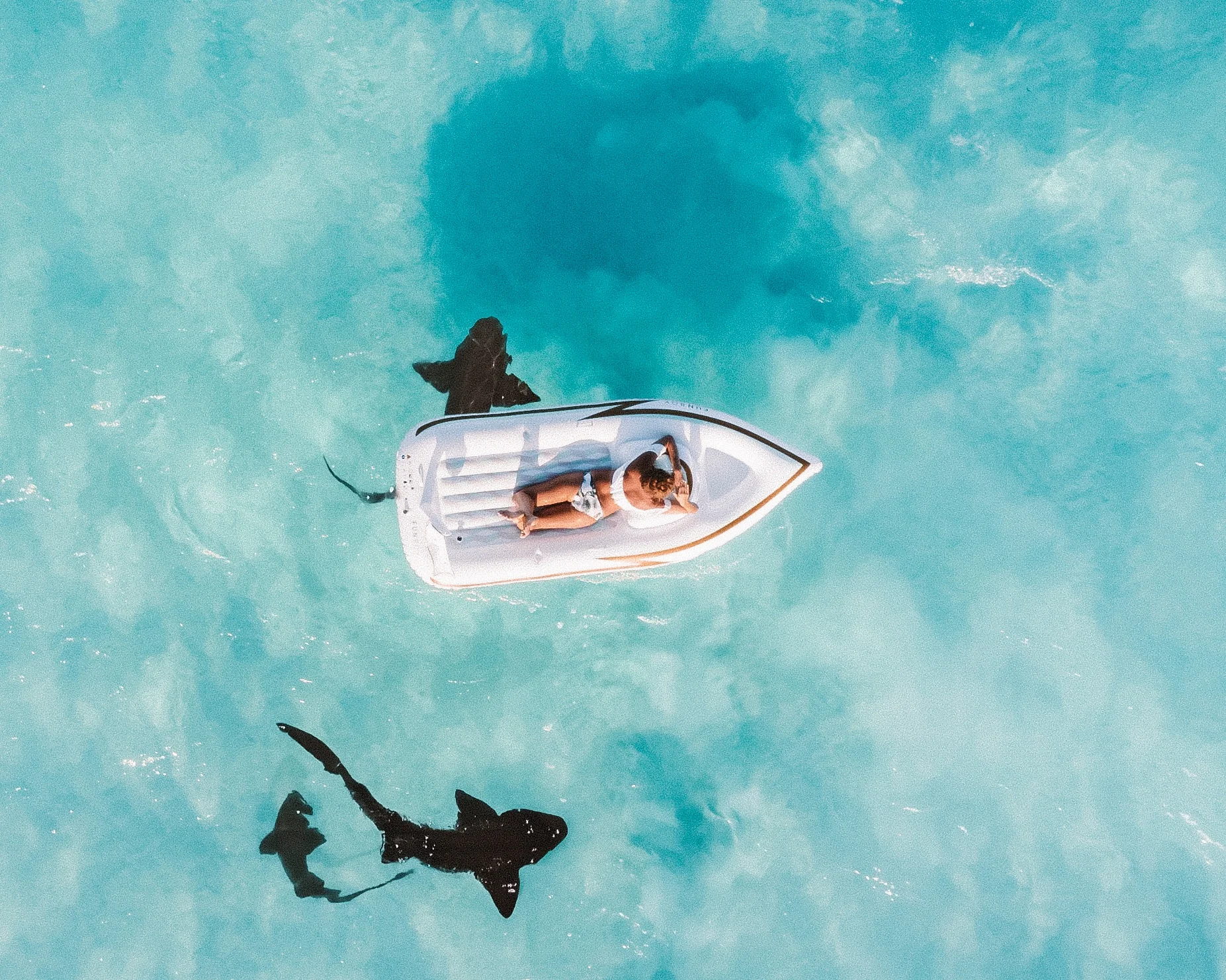 Jaws, Sharknado &amp; Debt