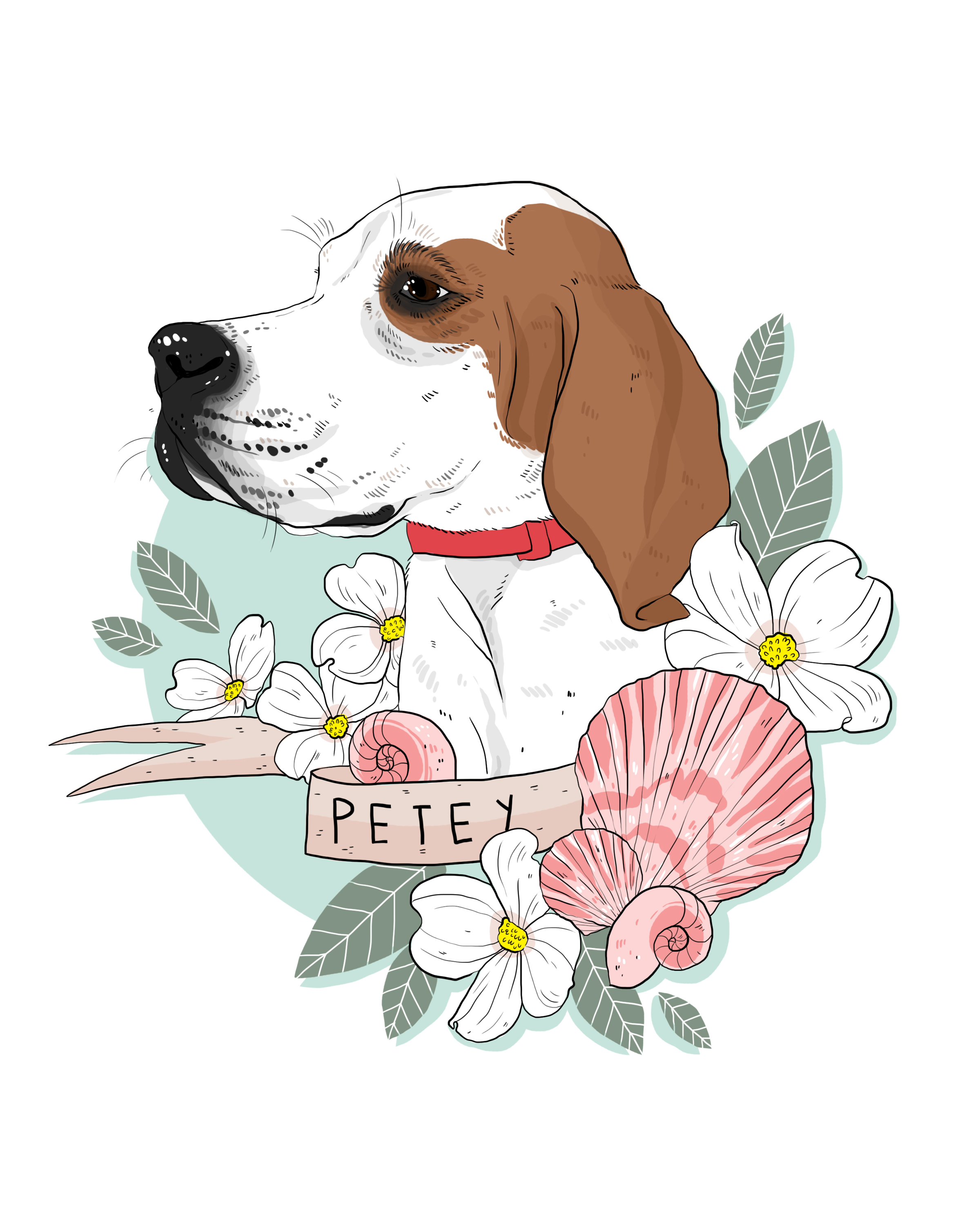 Petey.jpg