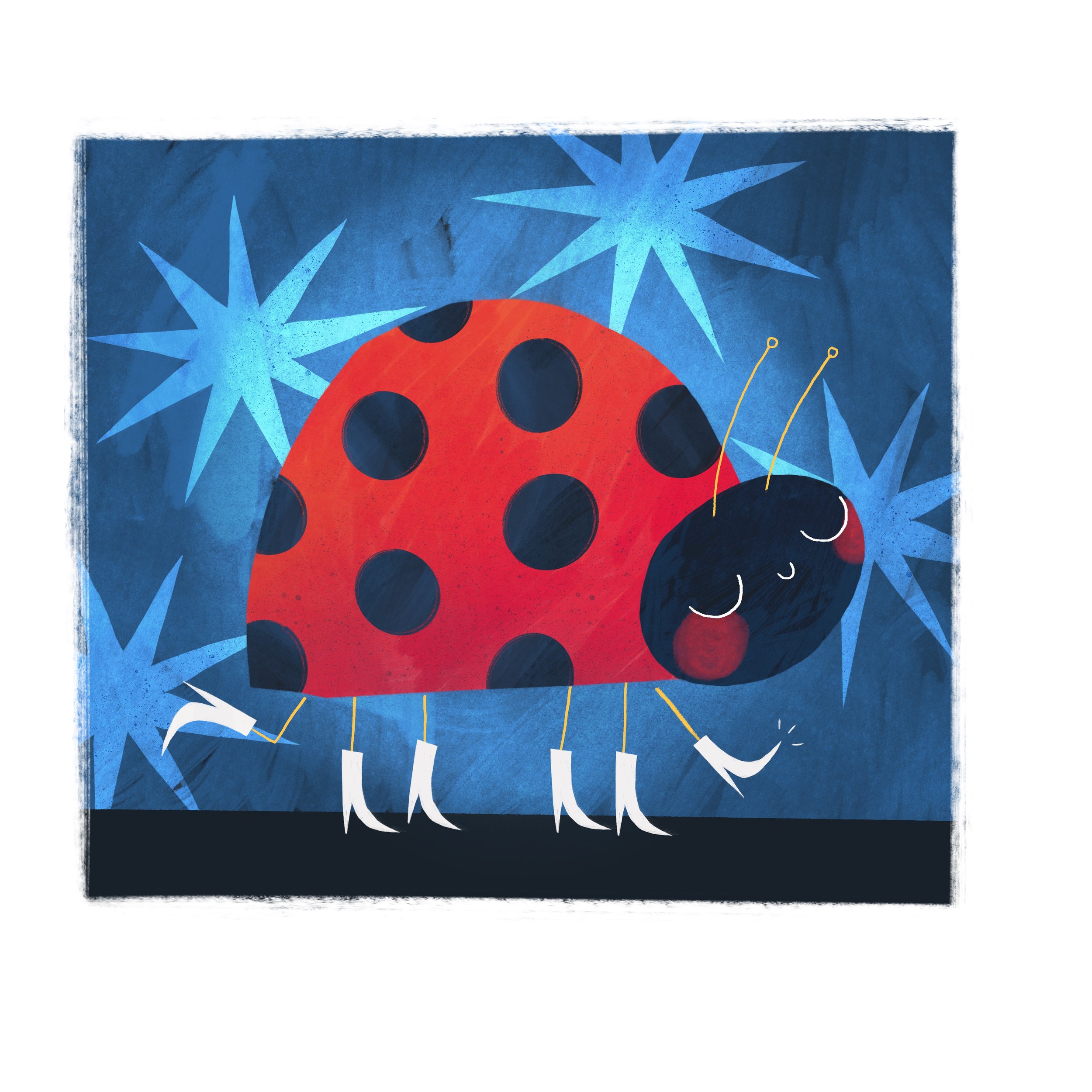 Ladybug.jpg