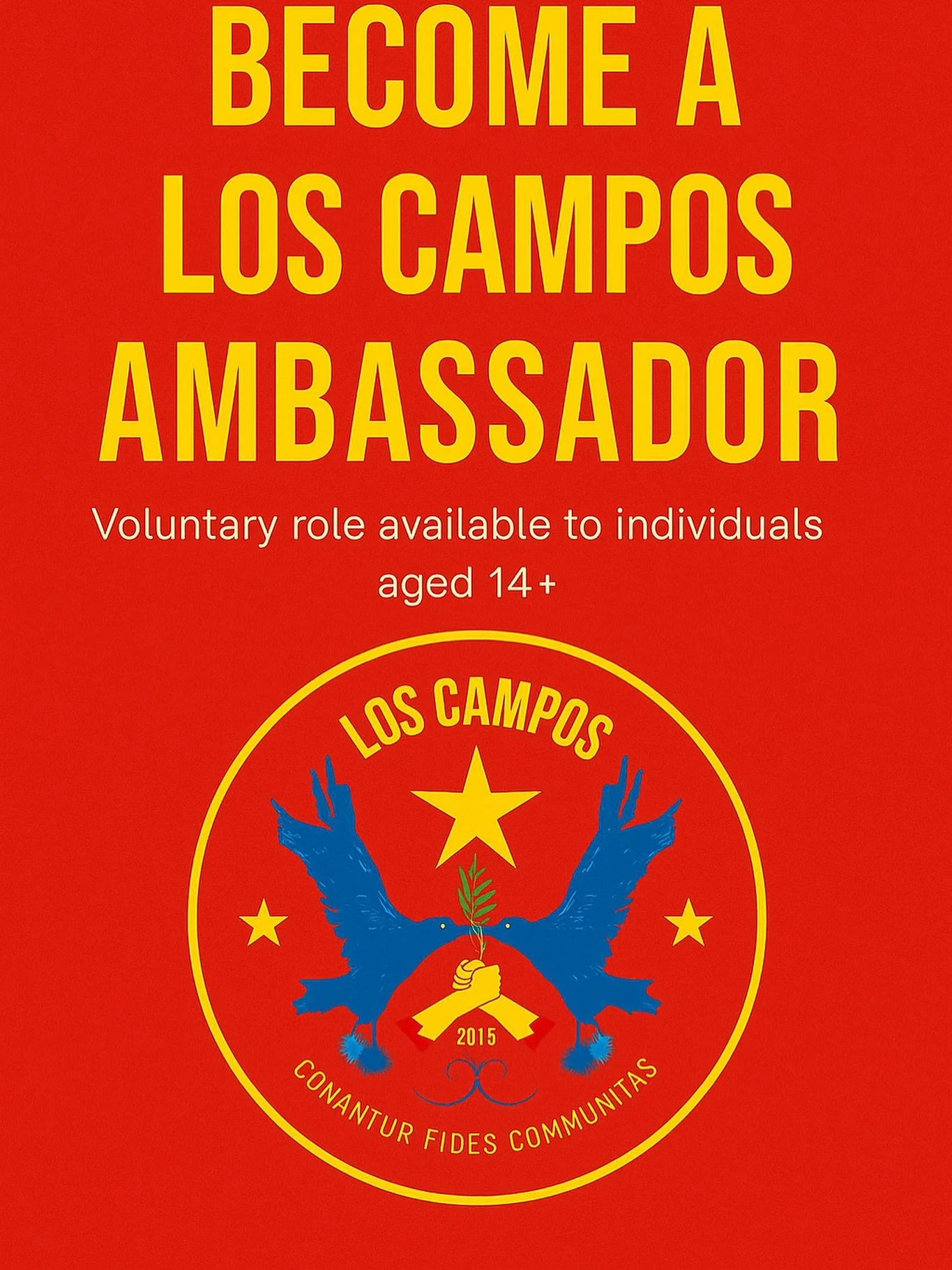 A fantastic opportunity to gain expirence working with young players in football. Pathways to further coaching programmes at Los Campos available. See our page for more info. DM to get involved now. LIMITED SPACES ⭐️