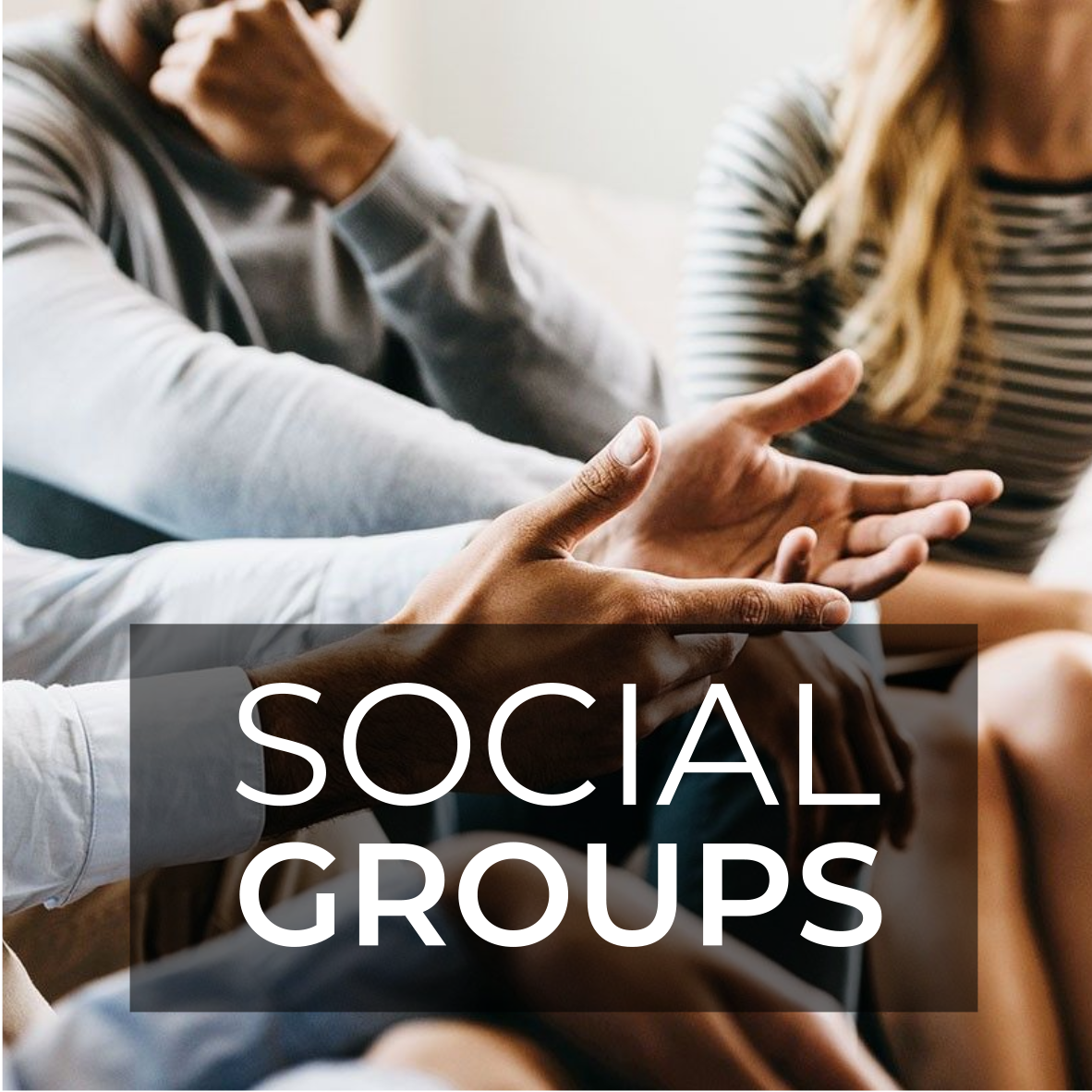 Social Groups.png