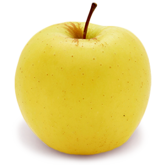 Apples Golden Delicious Sun Orchard Apples