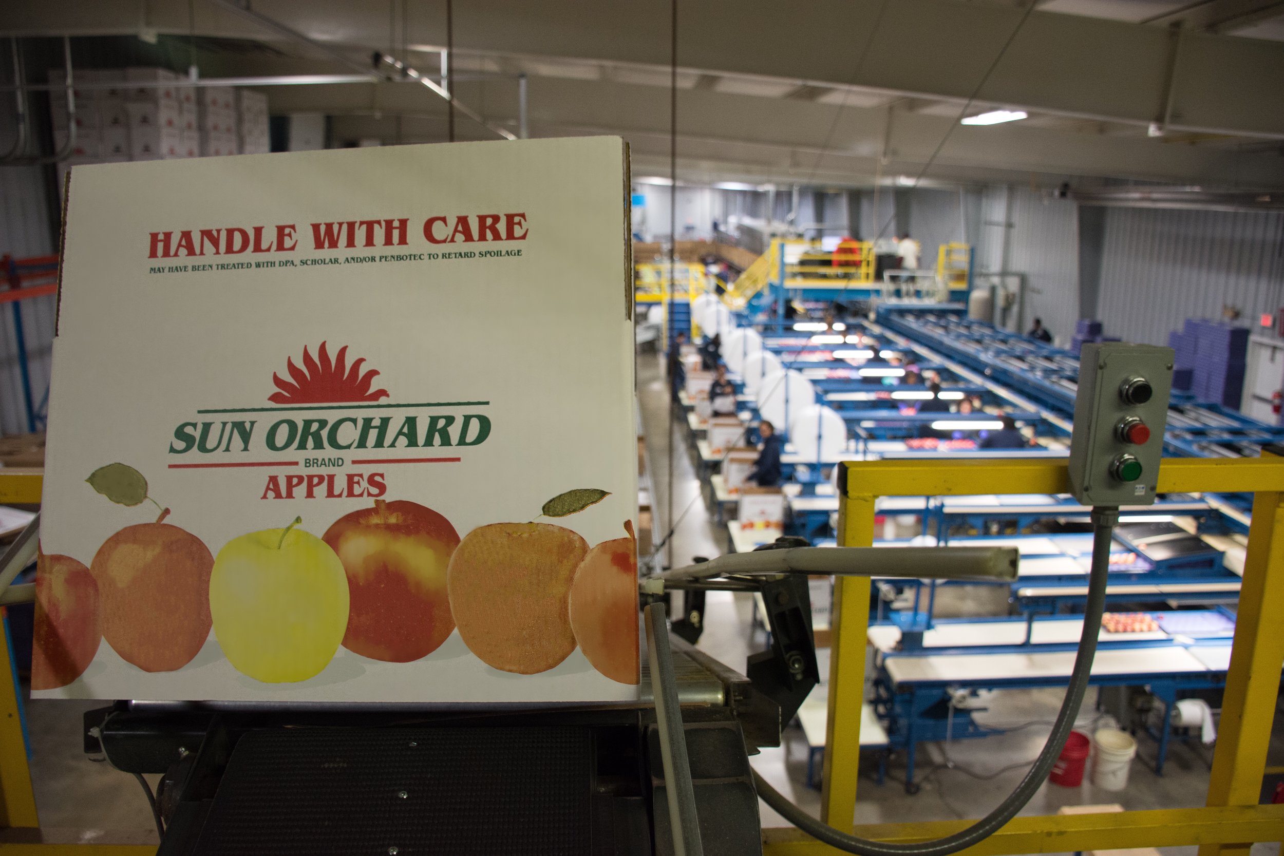 Work at Sun Orchard — Sun Orchard Apples