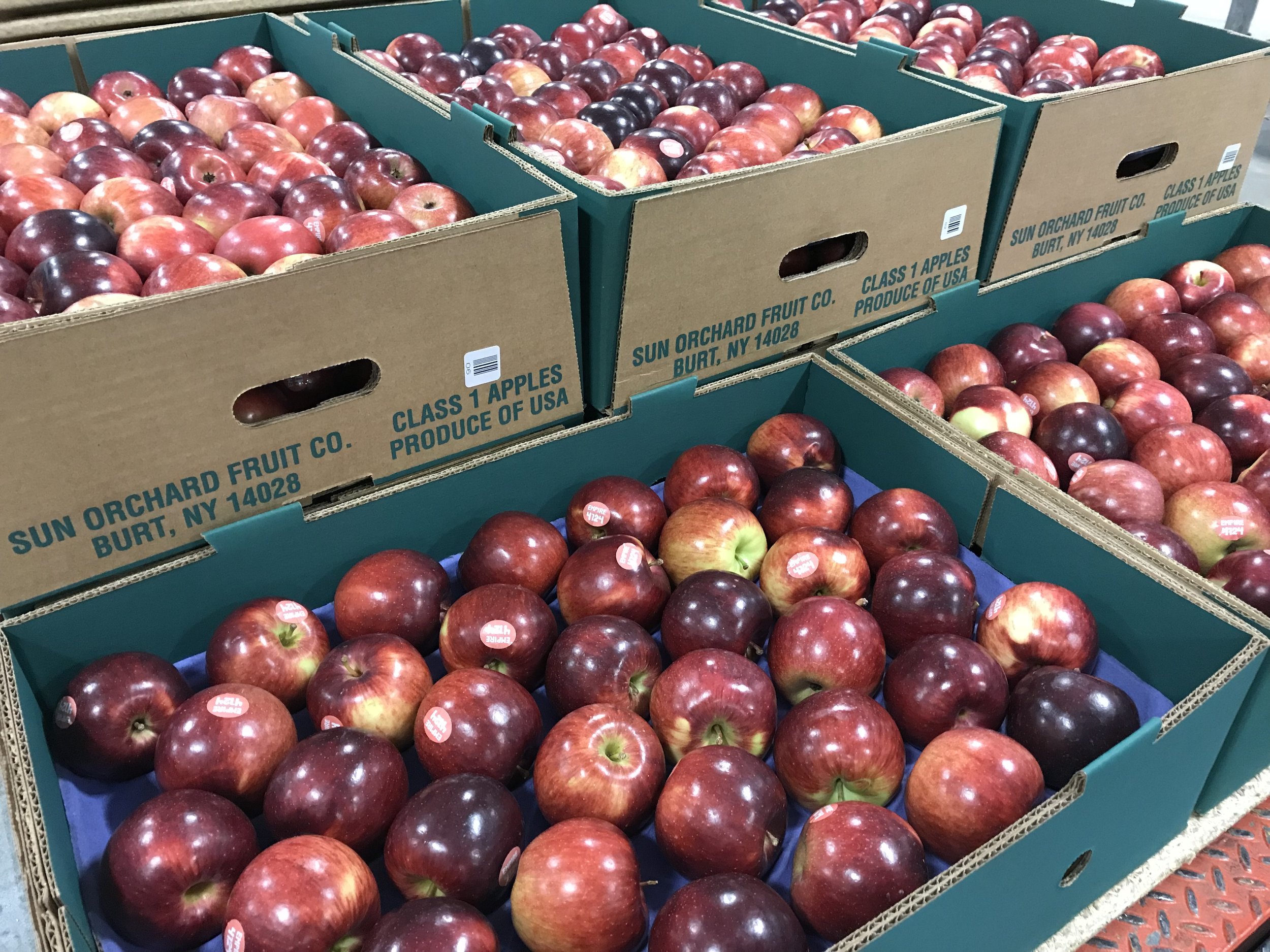 Varieties Archive - New York Apple Association